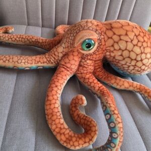 Carl The Octopus Needs A New Home!